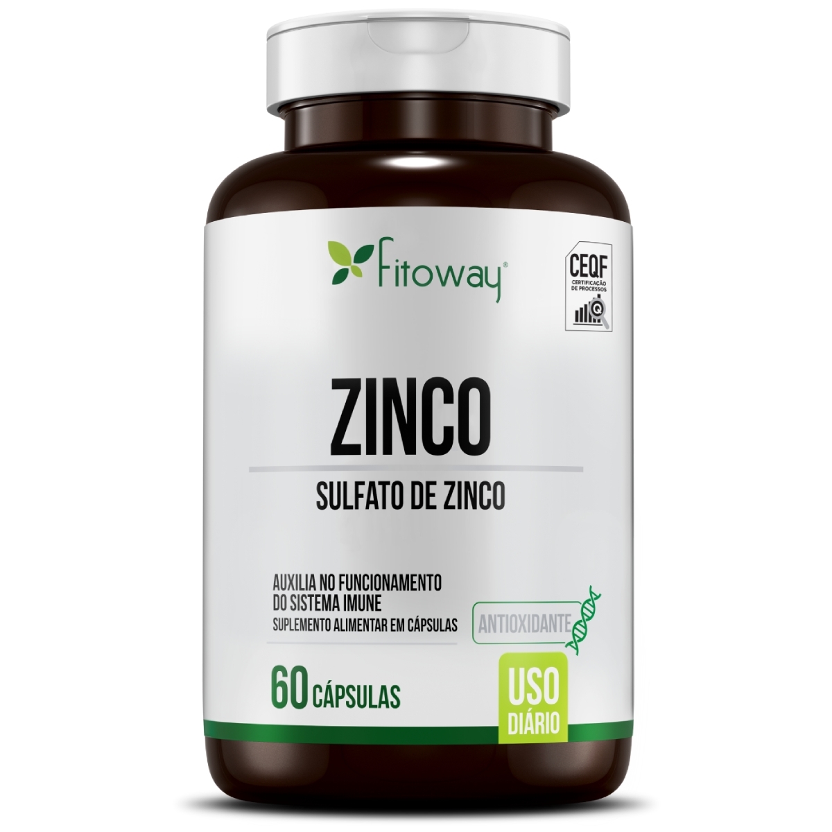 VITAMINA C c/ ZINCO 900MG 60 CAPS – Fitomania